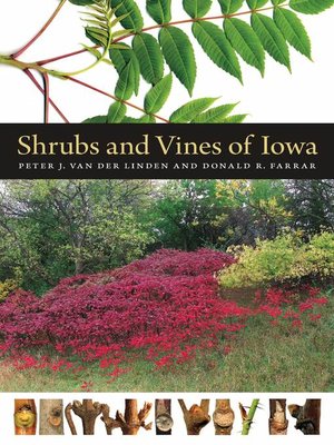 cover image of Shrubs and Vines of Iowa